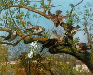 The Songs Of Spring The Songs Of Spring