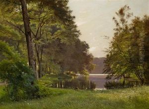 Sommerliche Seenlandschaft