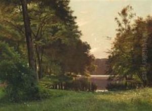A Forest Lake