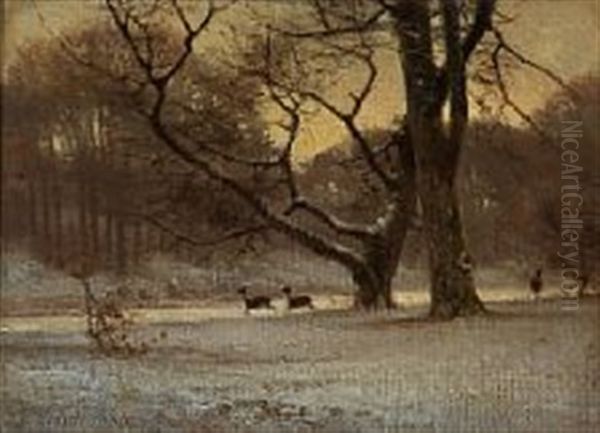 Winter Day In The Deer Garden, Denmark - view 1