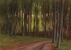 Forest Road