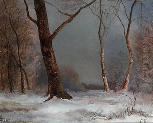 Winter In The Woods - view 1