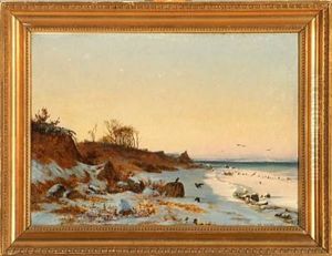 Crows On The Beach On A Sunny Winter Day