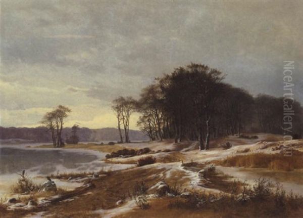 Vinterlandskab Med Udsigt Til Tilfrosne Soer - view 1