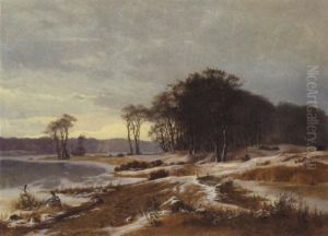 Vinterlandskab Med Udsigt Til Tilfrosne Soer