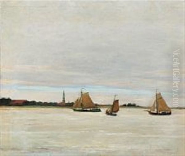 Ejderen Ved Tonning - view 1