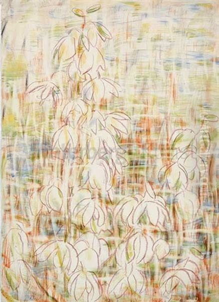 "yucca" - view 1