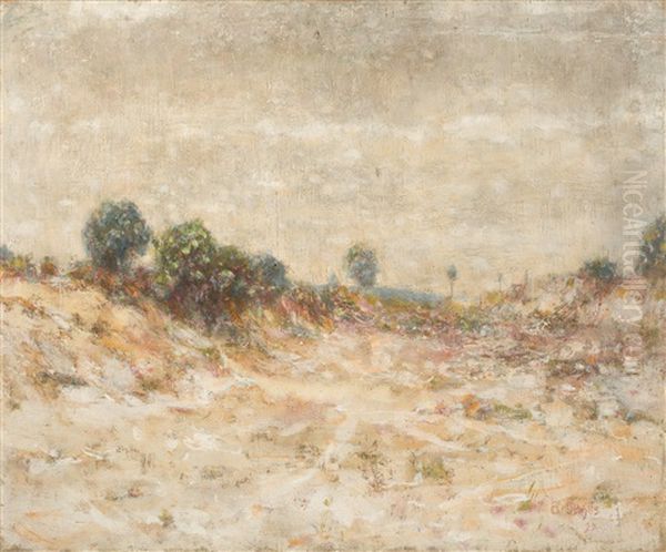 Heidelandschaft - view 1