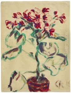 Blume Mit Roten Bluten Blume Mit Roten Bluten