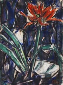 Amaryllis