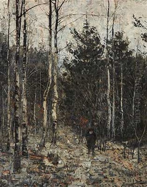 Waldweg Im Winter (winter Im Webicht) - view 1