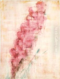 Rote Gladiole Rote Gladiole