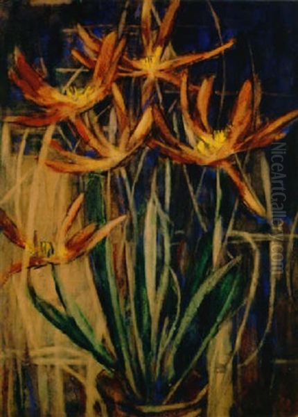 Rote Tulpen - view 1