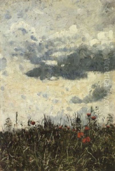 Sommerwiese Unter Wolkenhimmel - view 1