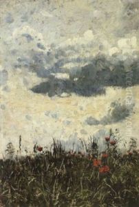 Sommerwiese Unter Wolkenhimmel Sommerwiese Unter Wolkenhimmel