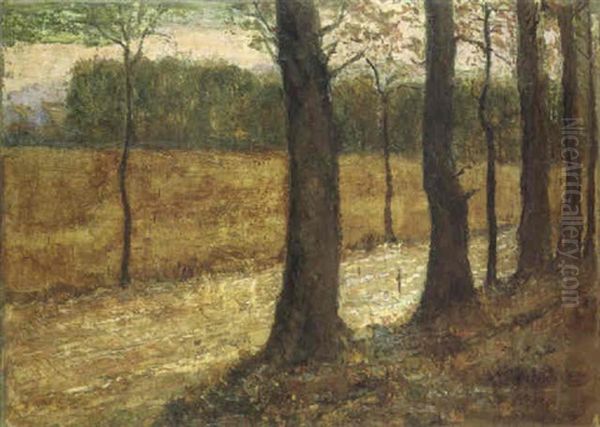 Park An Der Ilm (weimar) - view 1