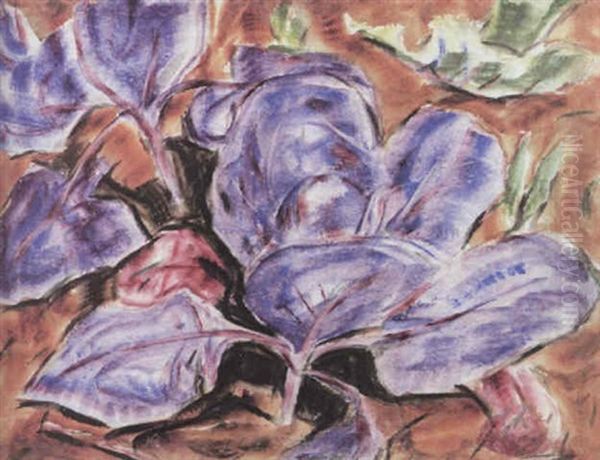 Rotkohl - view 1