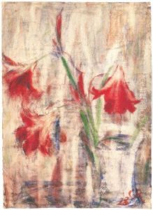 Amaryllis Amaryllis