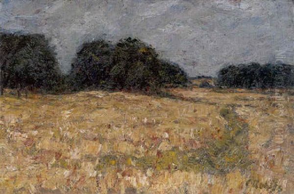 Felder Mit Baumen Am Horizont - view 1
