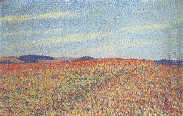 Weizenfeld - view 1