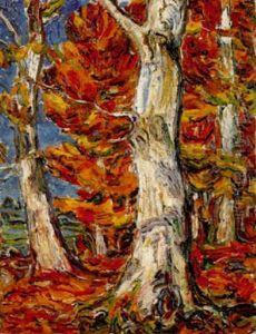 Weissbuchen Im Herbst Weissbuchen Im Herbst