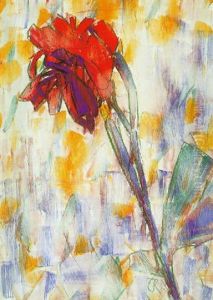 Rote Blume Rote Blume