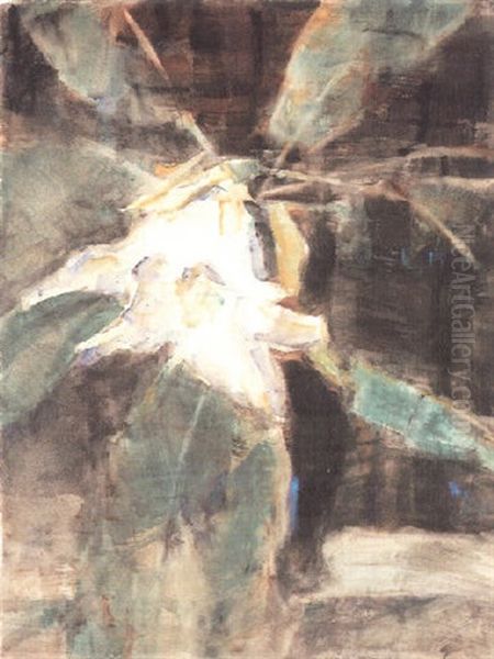 Magnolienblute - view 1