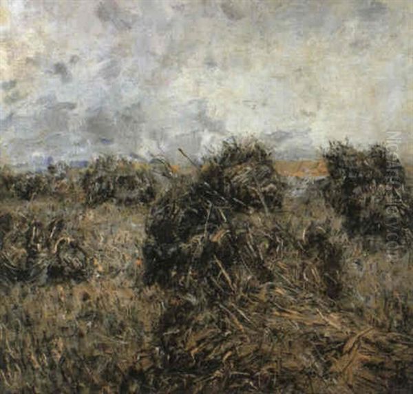 Saubohnen - view 1