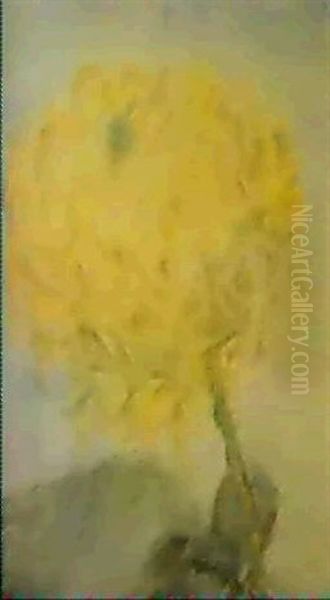 Gelbe Chrysanthemen - view 1