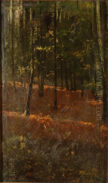 "bosco" - view 1