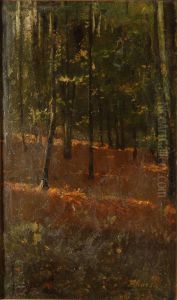 "bosco" by Emilio Borsa