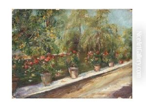 Jardin Con Geranios