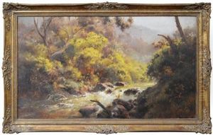 Flooded River