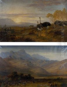 Little Karoo Landscapes With Ostriches (pair) by Charles Rolando