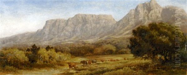 A Drover And Cattle With Table Mountain Beyond - view 1