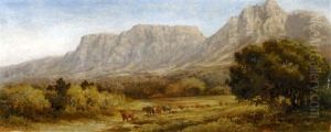A Drover And Cattle With Table Mountain Beyond
