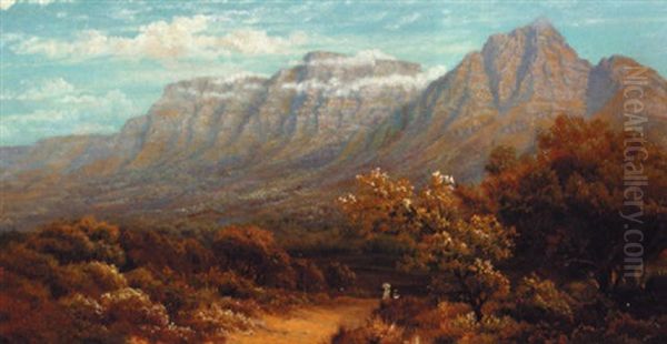 Table Mountain, Near Kirstenbosch, Newlands - view 1