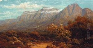 Table Mountain, Near Kirstenbosch, Newlands