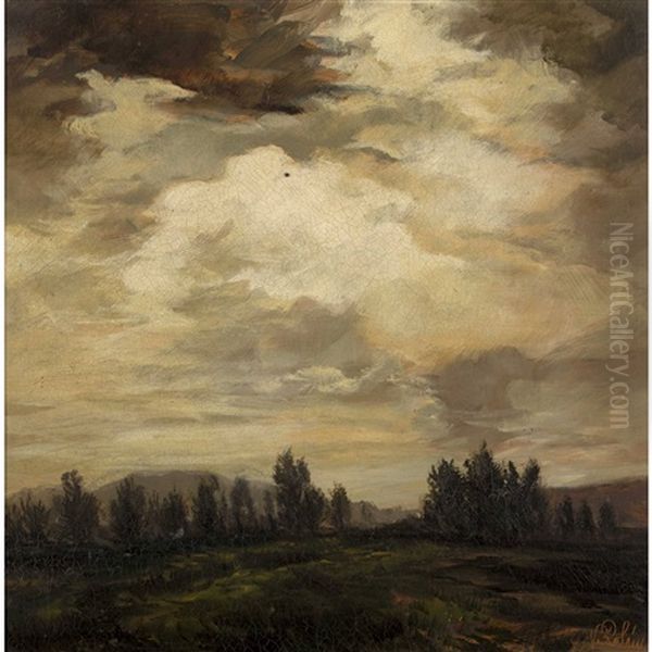 Weite Landschaft Mit Baumen - view 1