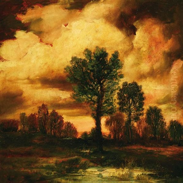 Trees In Early Evening - view 1