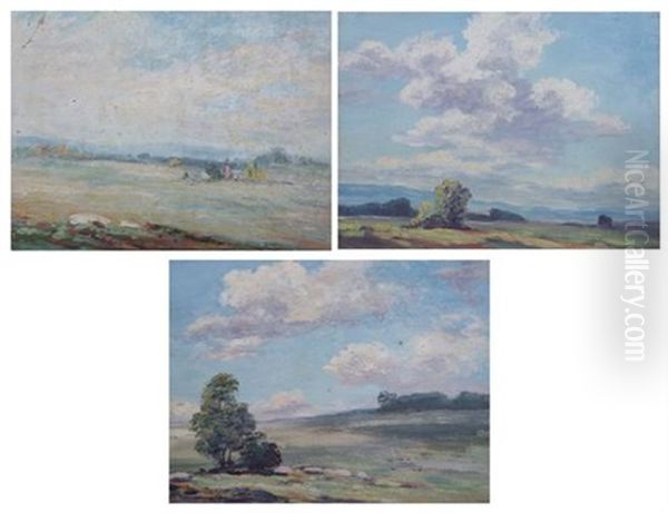 In The Virginia Countryside (3 Works) - view 1