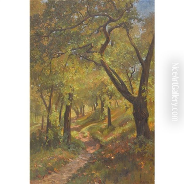 Herbstlicher Waldweg - view 1