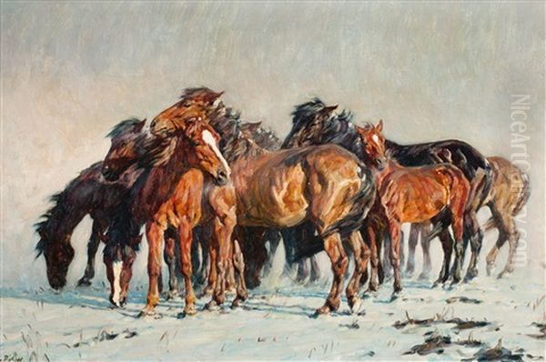Wild Horses - view 1