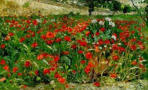 Field Of Poppies