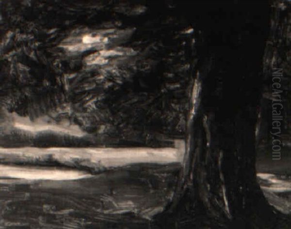 Moonlight Landscape - view 1