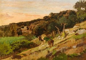 Sudliche Landschaft