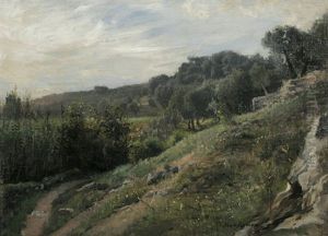 Olivenwald