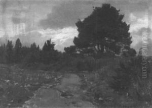 Wiesenrain Am Waldrand Bei Aufziehendem Gewitter