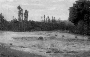 Brachliegendes Feld Am Waldrand