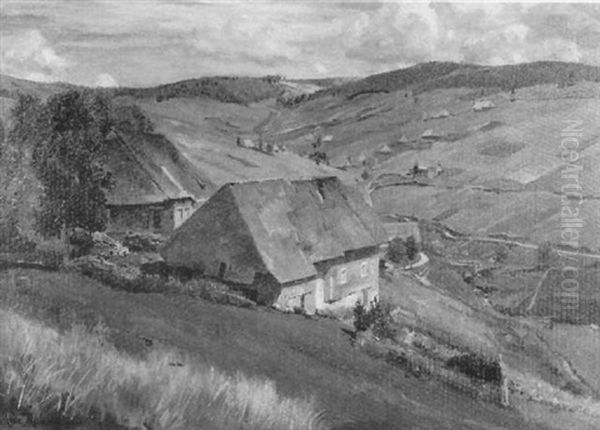 Schwarzwaldlandschaft - view 1